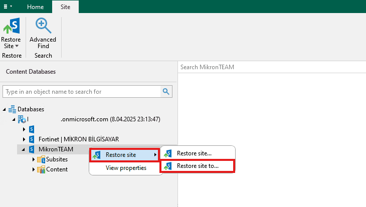 Sharepoint Backup via Veeam Backup for Microsoft 365